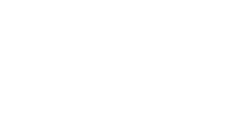 WinFactor™ Wallace Factoring Case Study - WinFactor